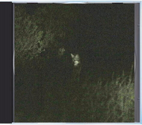 CD front cover CD front cover